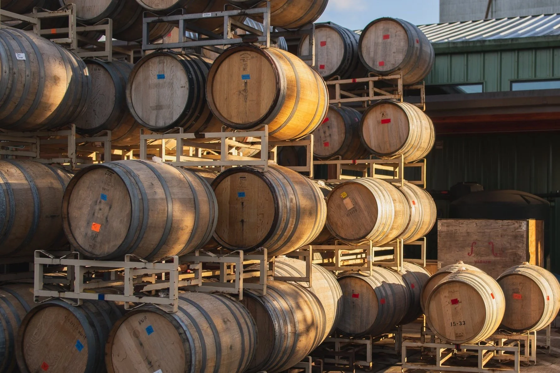 THE WINE — GC Wines